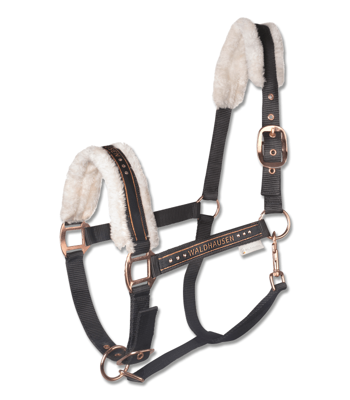 Licol Elegant - SHOPHORSE